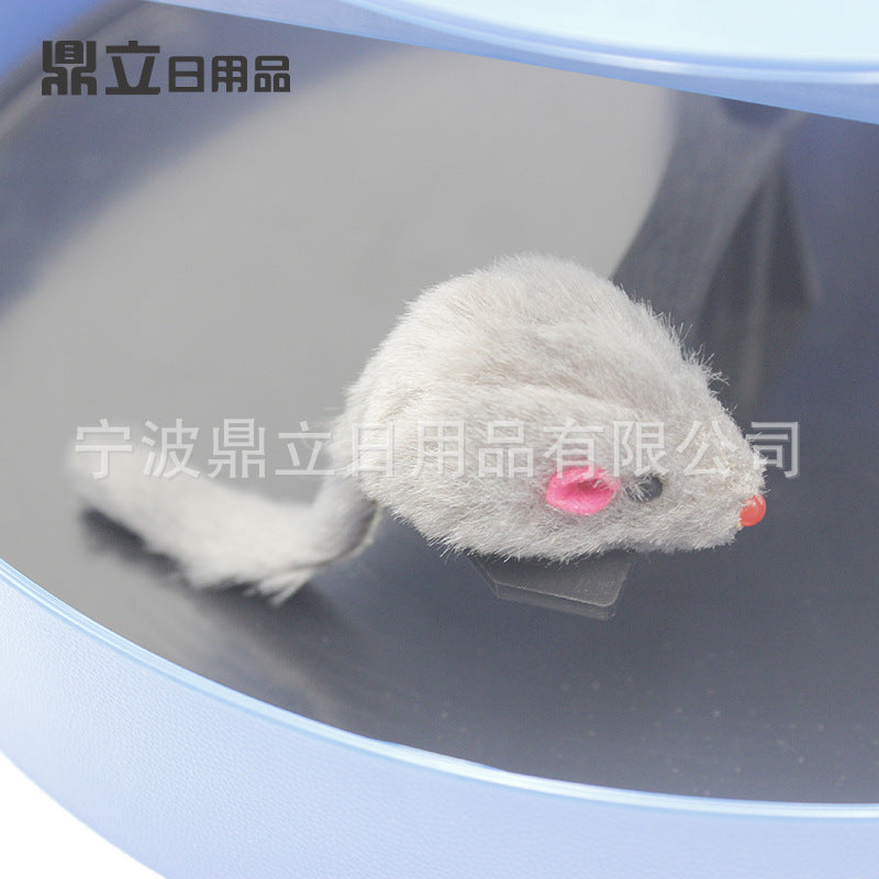 Manufacturer's spot blue shadowless mouse shadowless cat tray pet cat toy cat scratching board turntable for cats