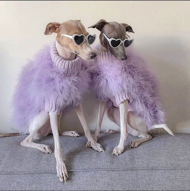 Dog clothes autumn and winter pet fashion sweater Schnauzer Highland French Bulldog Poodle cat fashion pet clothes