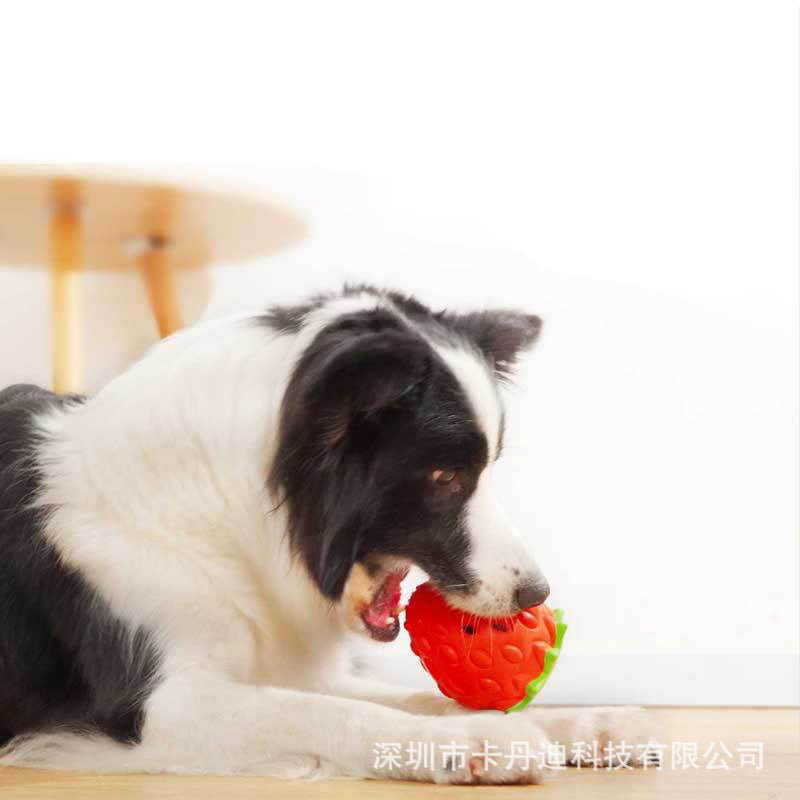 Pet Toys Dog Teeth Grinding Rubber Toy Simulation Strawberry Interactive Educational Food Leaking Ball Manufacturer Wholesale