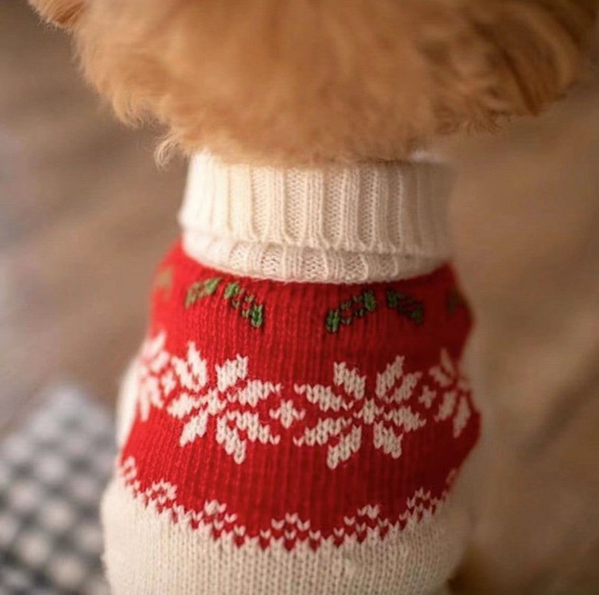 Autumn and Winter Dog Cute Funny Crazy Circus Clown Sweater Halloween Cat Suit Pet Dog Clothes