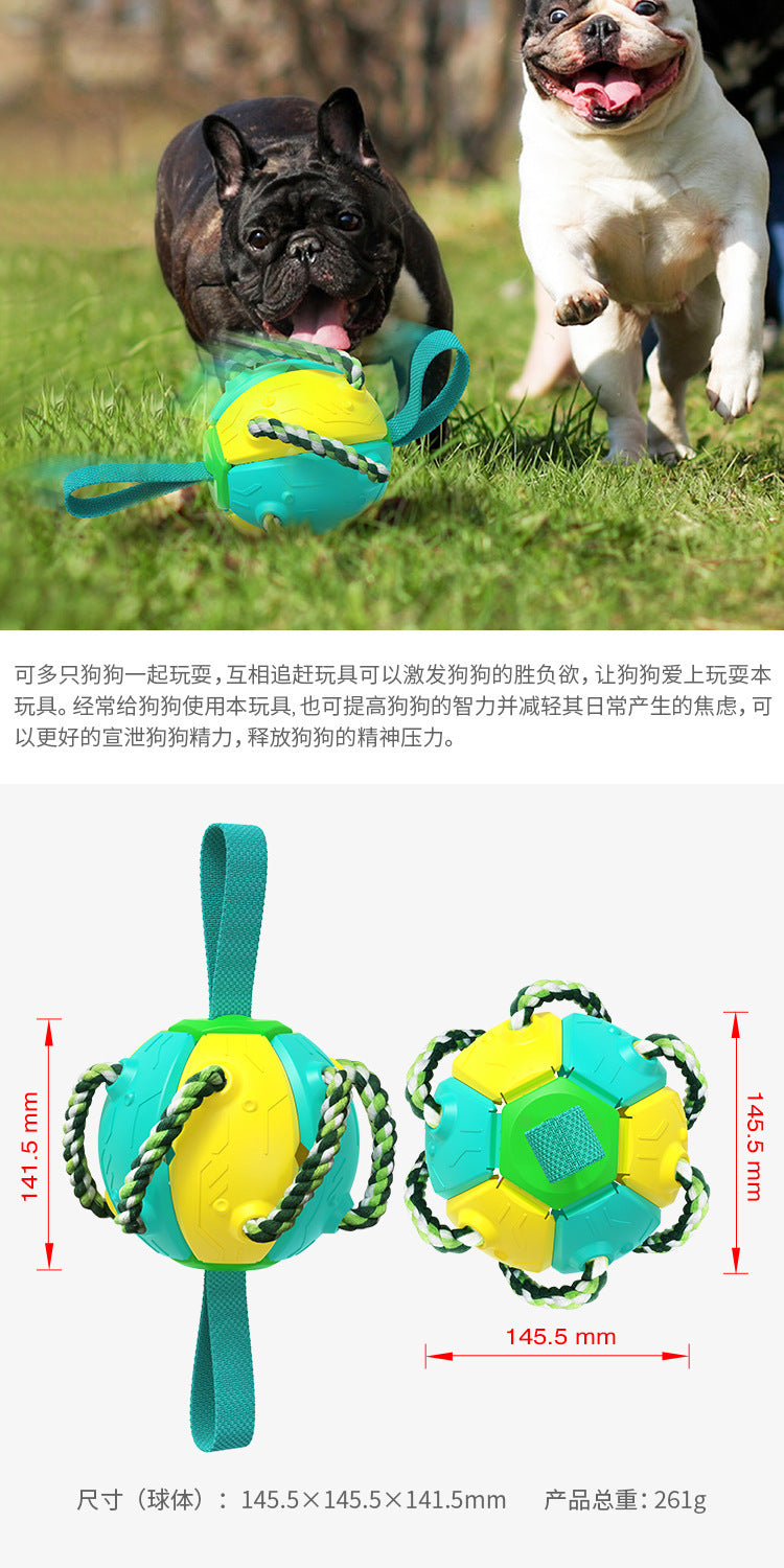 Pet Supplies Factory New Explosion Amazon Cross-border UFO Outdoor Training Interactive Frisbee Soccer Dog Toy