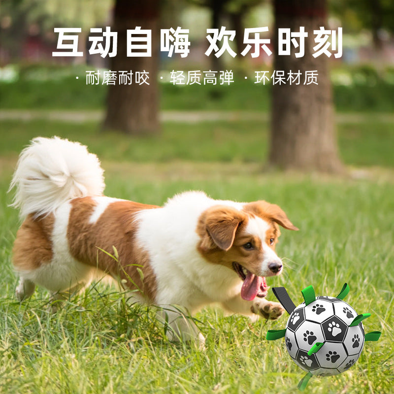 Amazon hot pet toys dog tour football puppy toy ball training pet ball supplies wholesale