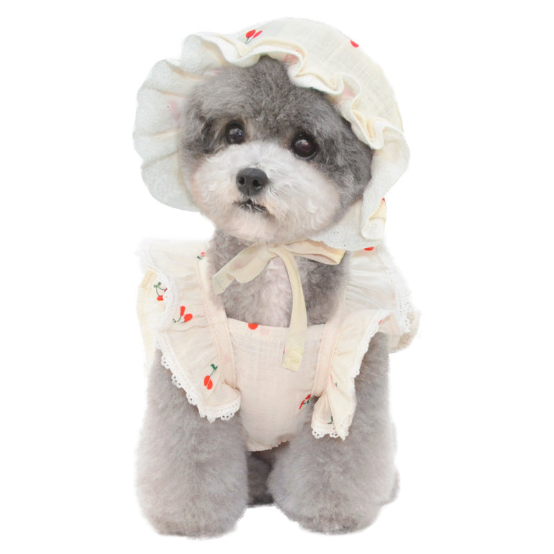 Beitu spring and summer new pet skirt dog skirt cat skirt kitten skirt pet clothes dog clothes