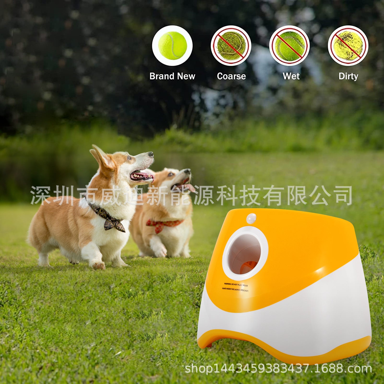 Cross-border pet ball throwing machine Pet cat and dog ball throwing machine 6 balls outdoor automatic dog ball launcher tennis ball pet toy