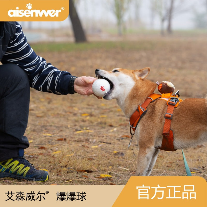 Eisenwell Explosive Ball High Elastic Lightweight Popcorn Ball Bite-resistant Teeth Grinding Pet Toy Dog Solid Toy Ball