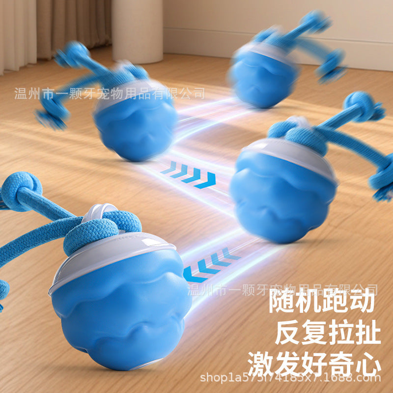 Cross-border pet smart rolling ball rolling ball electric dog boredom relief smart bite-resistant dog ball grinding toy