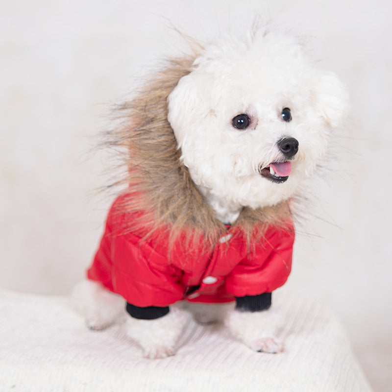 Pet clothes Dog clothes Fashion hooded jacket Autumn and winter warm dog clothes Teddy small and medium dogs
