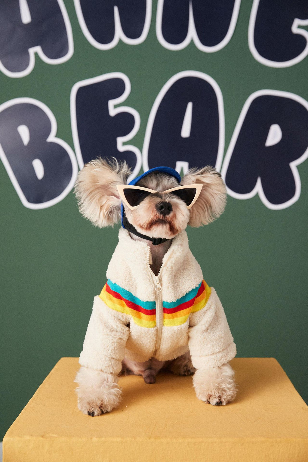 Cross-border foreign trade dropshipping dog clothes autumn and winter trendy Teddy Schnauzer Bichon pet lamb wool coat