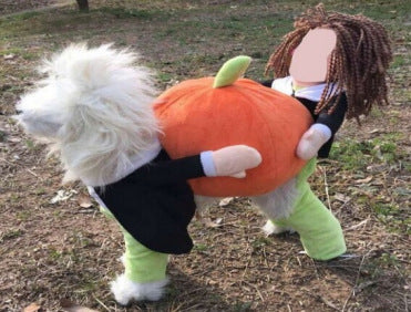 Pet supplies dog clothes upright pirate costume dog clothes police doctor standing costume guitar transformation costume funny costume