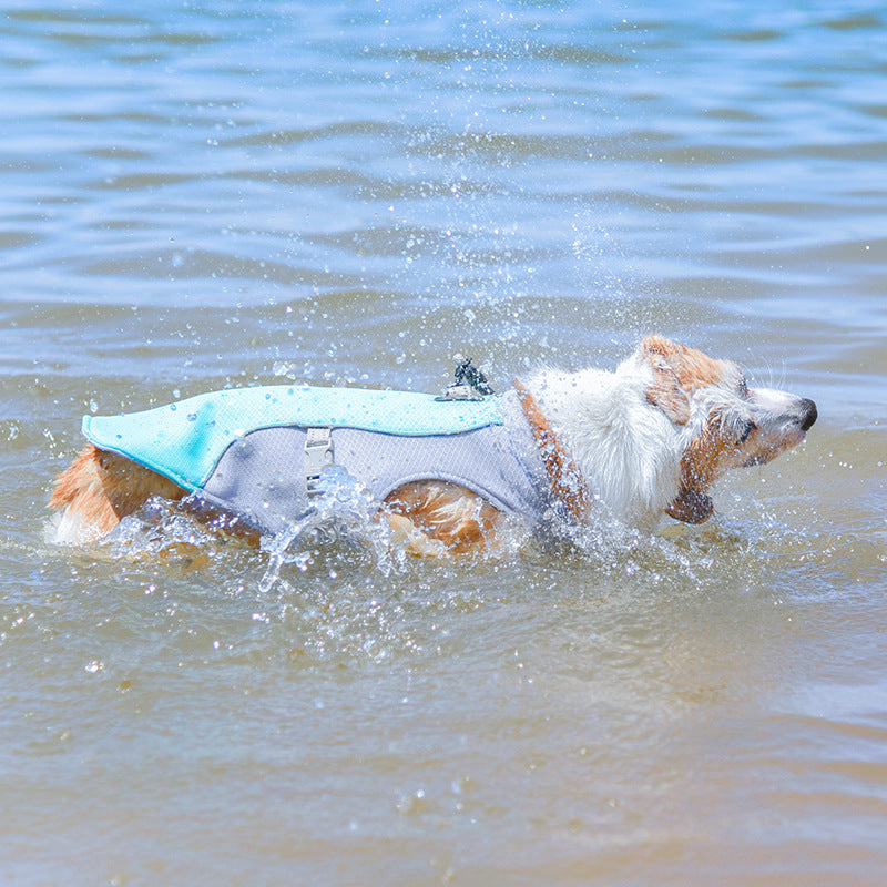 Cross-border new product summer pet cool clothes cooling vest heatstroke prevention breathable heat dissipation dog clothes method fighting cool clothes
