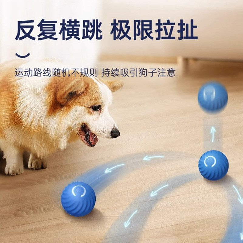Gravitational jumping ball pet dog toy ball automatic dog amusing ball bite-resistant ball dog amusing artifact self-entertainment ball