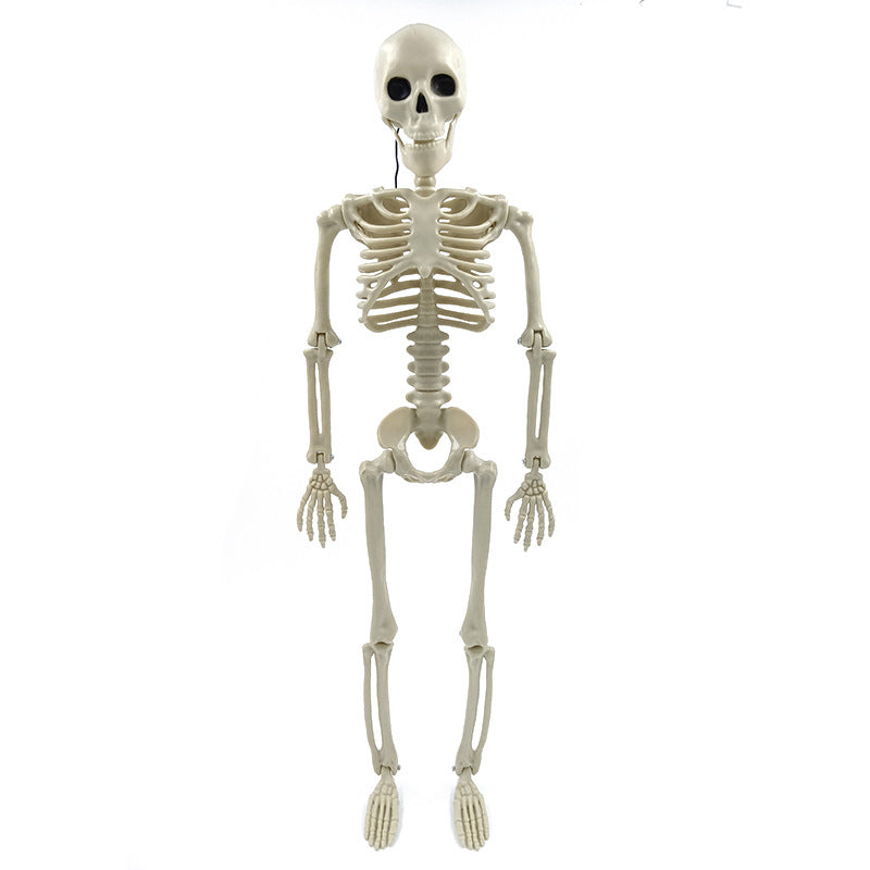 Halloween skeleton skeleton 60cm simulation human plastic skeleton decoration haunted house festival scene layout props