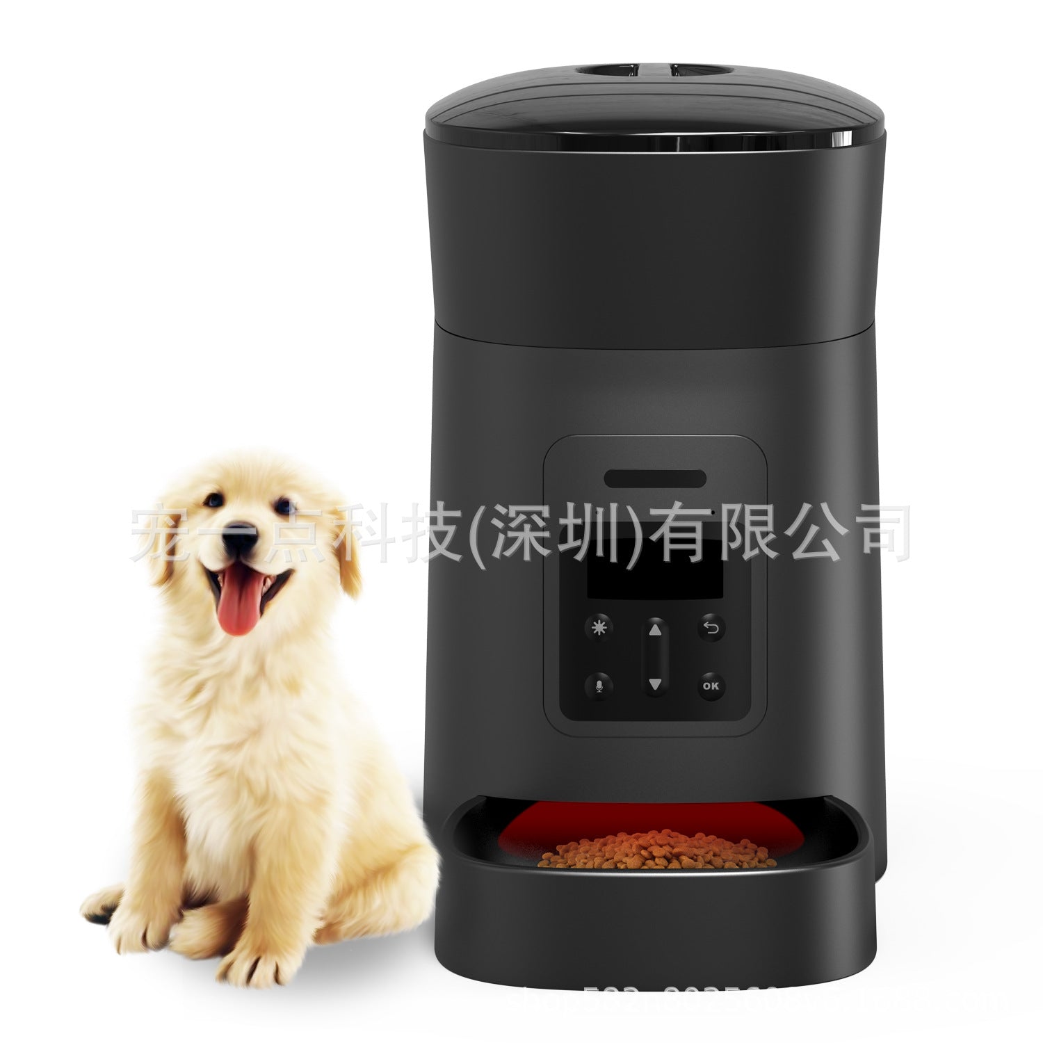 Pet Feeder Automatic Feeder Timing Quantitative 4L Capacity Button Basic Model Remaining Grain Alarm