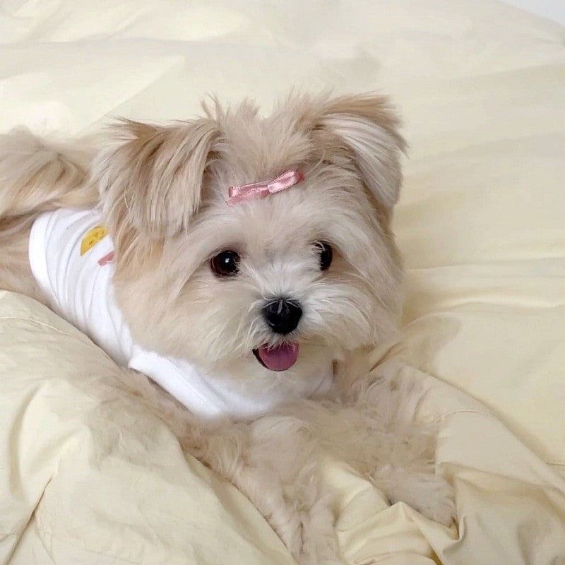 Three-dimensional small flower traction sling spring and summer thin dog clothes Teddy Yorkshire terrier small puppy pet clothes