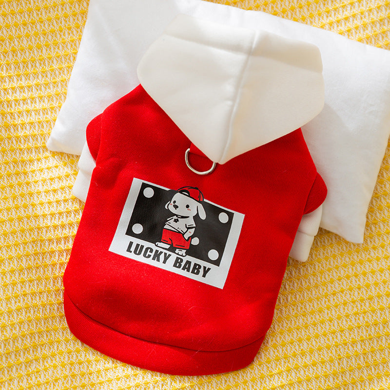 Autumn and winter dog clothes thin fleece warm hooded sweatshirt funny cat two-legged pet clothes Teddy transformation outfit