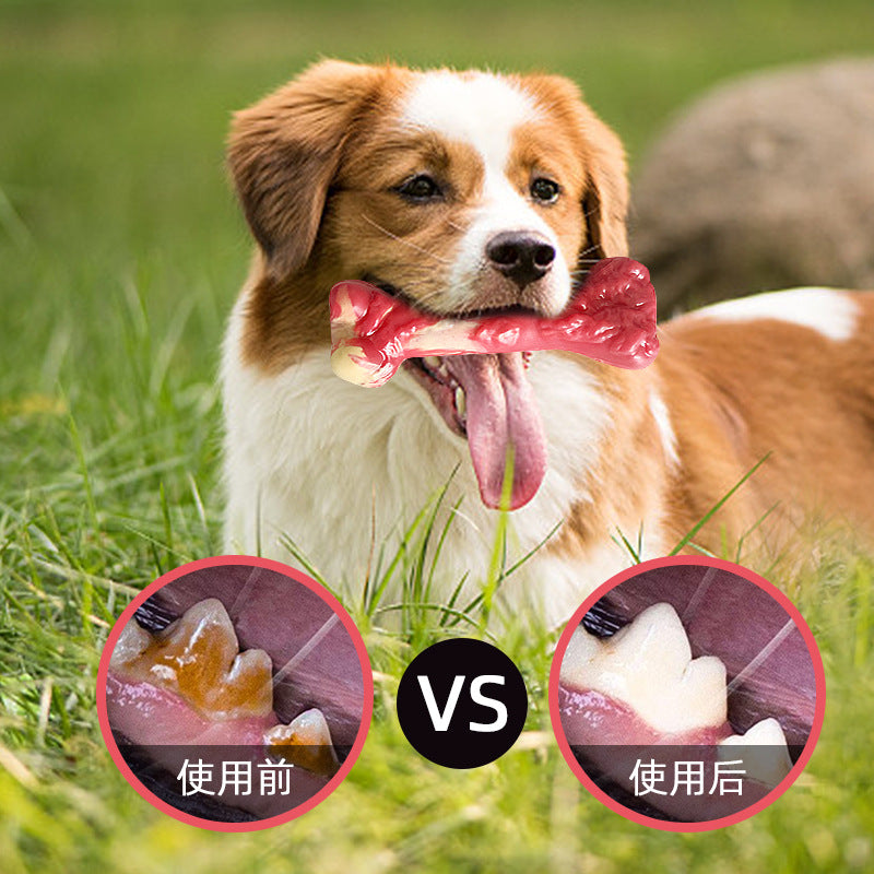 Amazon new dog chewing sound toy teeth grinding rubber simulation small bone leaking food pet toy