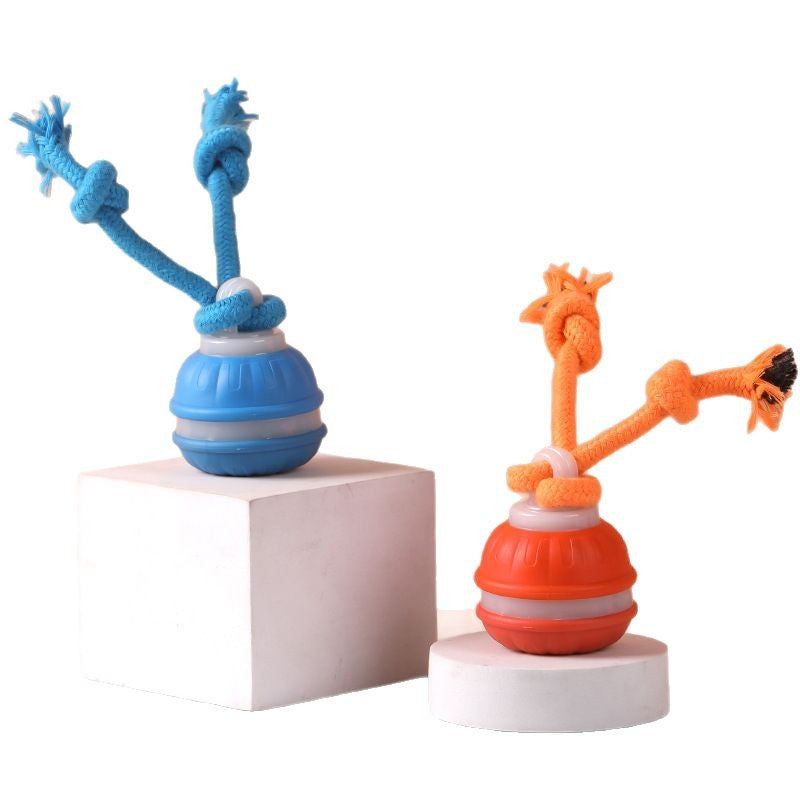 Cross-border pet smart rolling ball electric dog boredom relief smart bite-resistant dog ball teething toy built-in bird call