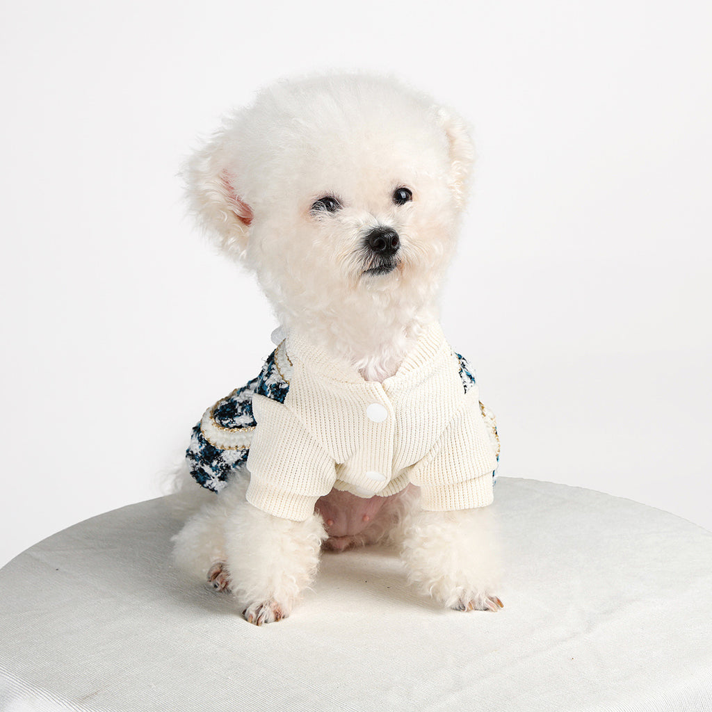 Spot cross-border hot-selling pet puppy and cat clothes source factory autumn and winter new blue noble dress skirt