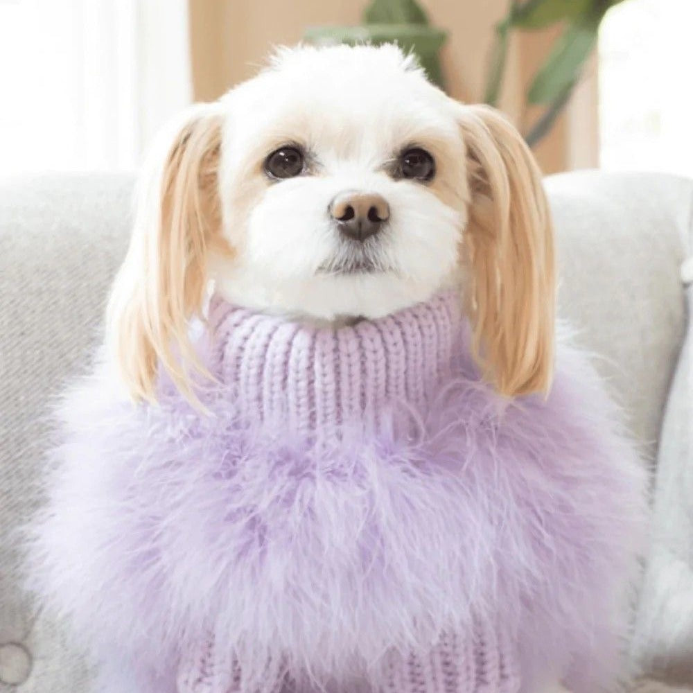 Dog clothes autumn and winter pet fashion sweater Schnauzer Highland French Bulldog Poodle cat fashion pet clothes